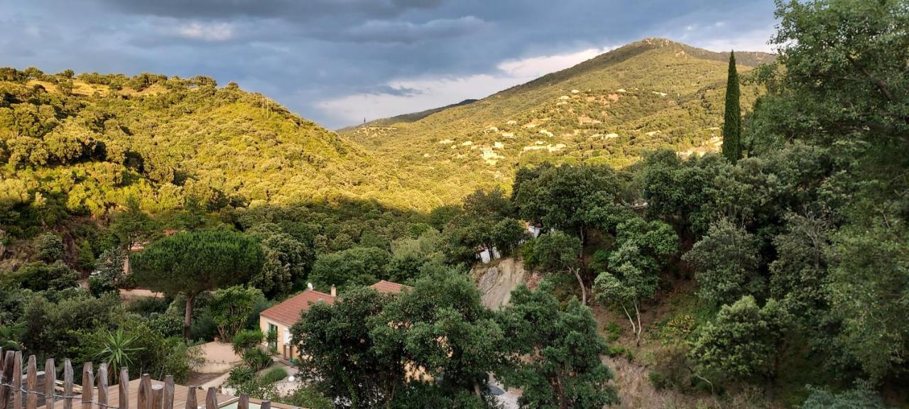 Villa Label Vue Chambres D'Hotes Avec Piscine Au Boulou Le Boulou Exterior foto